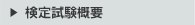 莎Tv