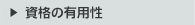 i̗Lp